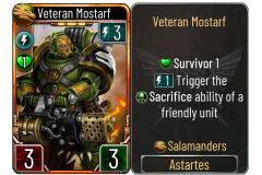 19-Veteran-Mostarf-Salamanders