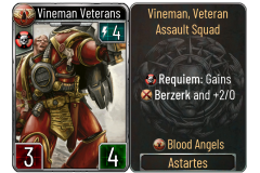 31-Vineman-Veterans-Blood-Angels