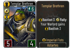 39-Templar-Brethren-Imperial-Fists