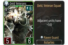 45-Qeld-Veterans-Raven-Guard