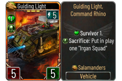 31-Guiding-Light-Salamanders