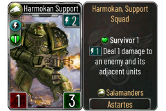 11-Harmokan-Support-Salamanders