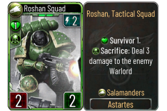 13-Roshan-Squad-Salamanders