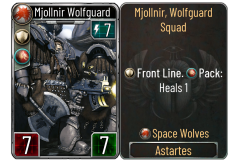 44-Mjollnir-Wolfguard-Space-Wolves