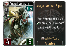 35-Anagal-Veterans-White-Scars